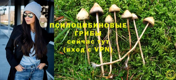 2c-b Волосово
